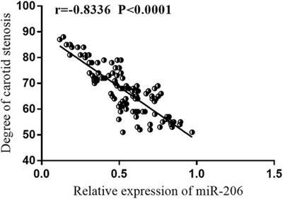 Diagnostic and Prognostic Value Analysis of miR-206 in Asymptomatic Carotid Artery Stenosis